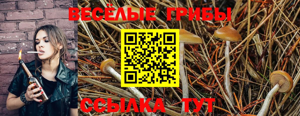 Галлюциногенные грибы ЛСД Волгоград