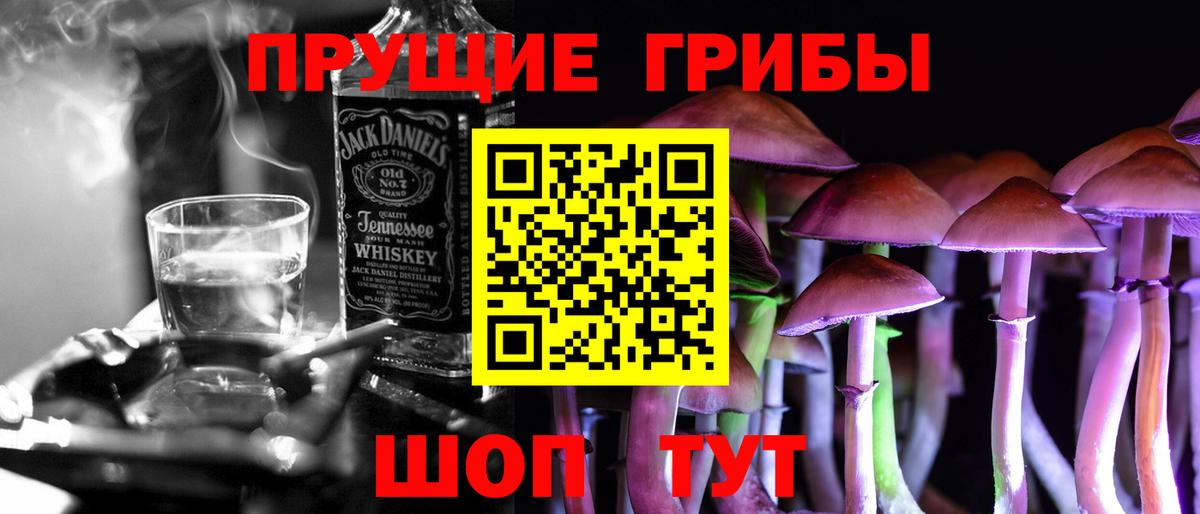 магазин продажи   Вход с VPN  Волгоград  Псилоцибиновые грибы GOLDEN TEACHER 